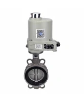 Затвор дисковый поворотный DN.ru WBV3232V-2W-Fb-H Ду100 Ру16, корпус - нержавеющая сталь 316L, диск - нержавеющая сталь 316L, уплотнение - VITON, с электроприводом ГЗ-ОФ-80/21К 220В