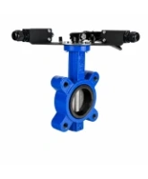 Затвор дисковый поворотный DN.ru WBV1631N-2W-Fb-H Ду150 Ру16 LUG межфланцевый, корпус - чугун QT450, диск - нержавеющая сталь AISI 304, уплотнение - NBR, с рукояткой и двумя концевыми датчиками LS-103 250В