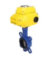 Затвор дисковый поворотный DN.ru WBV1432E-2W-Fb-H Ду125 Ру16, корпус - чугун GGG50, диск - нержавеющая сталь 316L, уплотнение - EPDM, с электроприводом DN.ru QT-N-010EM-O1-24VDC-У1 24В