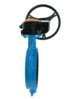 Затвор дисковый поворотный DN.ru WCB-316L-EPDM Ду150 Ру16 межфланцевый, корпус - углеродистая сталь WCB, диск - нержавеющая сталь 316L, уплотнение - EPDM, с редуктором Pro-Gear X-21-W-200