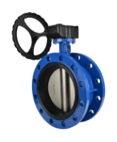 Затвор дисковый поворотный DN.ru WBV1313E-2W-F-R Ду250 Ру16 фланцевый, корпус - чугун GGG40, диск - чугун GGG40, уплотнение - EPDM, управление – редуктор, с ISO-фланцем F10, квадрат штока 22х22