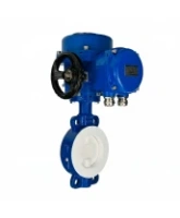 Затвор дисковый поворотный DN.ru WBV3434Pf-2W-Fb-H Ду80 Ру16 корпус - углеродистая сталь WCB, диск - углеродистая сталь WCB, футерованный PTFE, уплотнение - PTFE, с электроприводом DN.ru QT-N-010M-O2-220VAC-У1