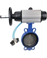 Затвор дисковый поворотный DN.ru WBV1132N-2W-Fb-H Ду125 Ру16, корпус - чугун GG25, диск - нержавеющая сталь 316L, уплотнение - NBR, с пневмоприводом DN.ru PA-DA-105-1 двойного действия, с пневмораспределителем 4V320-08 AC220V
