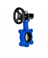 Затвор дисковый поворотный DN.ru WBV1631N-2W-Fb-H Ду150 Ру16 LUG межфланцевый, корпус - чугун QT450, диск - нержавеющая сталь AISI 304, уплотнение - NBR, с редуктором HGB RQN2-320Z