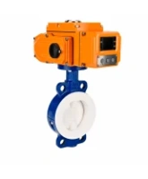 Затвор дисковый поворотный DN.ru WBV3434Pf-2W-Fb-H Ду65 Ру16 корпус - углеродистая сталь WCB, диск - углеродистая сталь WCB, футерованный PTFE, уплотнение - PTFE, с электроприводом DN.ru QT-N-005EM-B1-220VAC-У1-HARK