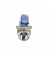 Кран шаровой DN.ru BV3232P(2pc)-FP-T-H Ду10 Ру63 ZGY полнопроходной двухходовой, нержавеющая сталь CF8М/AISI 316, внутренняя резьба, уплотнение - PTFE, ручка-рычаг