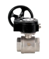 Кран шаровой DN.ru BV3232P(2pc)-FP-T-ISO-H Ду100 Ру40 полнопроходной двухходовой, нержавеющая сталь SS316, внутренняя резьба, уплотнение - PTFE, с редуктором RDN RQN5-500Z-T30