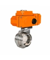 Затвор дисковый поворотный DN.ru WBV3131E-2W-T-H Ду50 Ру10 резьбовой, корпус - пищевая нержавеющая сталь 304, уплотнение - EPDM, с электроприводом QT-N-005EM-B1-220VAC-У1 c датчиком обратной связи и входным управляющим сигналом 0-10В HARK