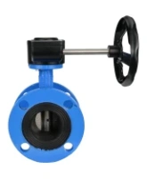 Затвор дисковый поворотный DN.ru WBV1313E-2W-F-H Ду100 Ру16 фланцевый, корпус - чугун GGG40, диск - чугун GGG40, уплотнение - EPDM, с редуктором DN.ru HAM RQN1-180Z-T40