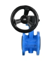 Затвор дисковый поворотный DN.ru WBV1313E-2W-F-H Ду100 Ру16 фланцевый, корпус - чугун GGG40, диск - чугун GGG40, уплотнение - EPDM, с редуктором DN.ru HAM RQN1-180Z-T40