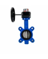 Затвор дисковый поворотный DN.ru WBV1631N-2W-Fb-H Ду150 Ру16 LUG межфланцевый, корпус - чугун QT450, диск - нержавеющая сталь AISI 304, уплотнение - NBR, с редуктором HGB RQN2-320Z