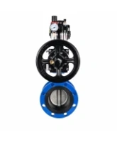 Затвор дисковый поворотный DN.ru WBV1331E-2W-F-H Ду50 Ру16 фланцевый, корпус - чугун GGG40, диск - нержавеющая сталь 304, уплотнение - EPDM, с пневмоприводом DN.ru PA-DA-105-1, 4M310-08 AC220V, APL-510N EX и AFC2000