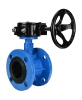Затвор дисковый поворотный DN.ru WBV1313E-2W-F-H Ду100 Ру16 фланцевый, корпус - чугун GGG40, диск - чугун GGG40, уплотнение - EPDM, с редуктором DN.ru RDN RQN3-150Z-T24