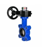 Затвор дисковый поворотный DN.ru WBV1616E-2W-Fb-H Ду125 Ру16 LUG межфланцевый, корпус - чугун QT450, диск - чугун QT450, уплотнение - EPDM, с редуктором HGB RQN1-180Z