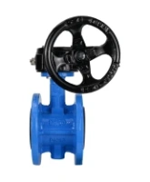 Затвор дисковый поворотный DN.ru WBV1313E-2W-F-H Ду100 Ру16 фланцевый, корпус - чугун GGG40, диск - чугун GGG40, уплотнение - EPDM, с редуктором DN.ru RDN RQN3-150Z-T24